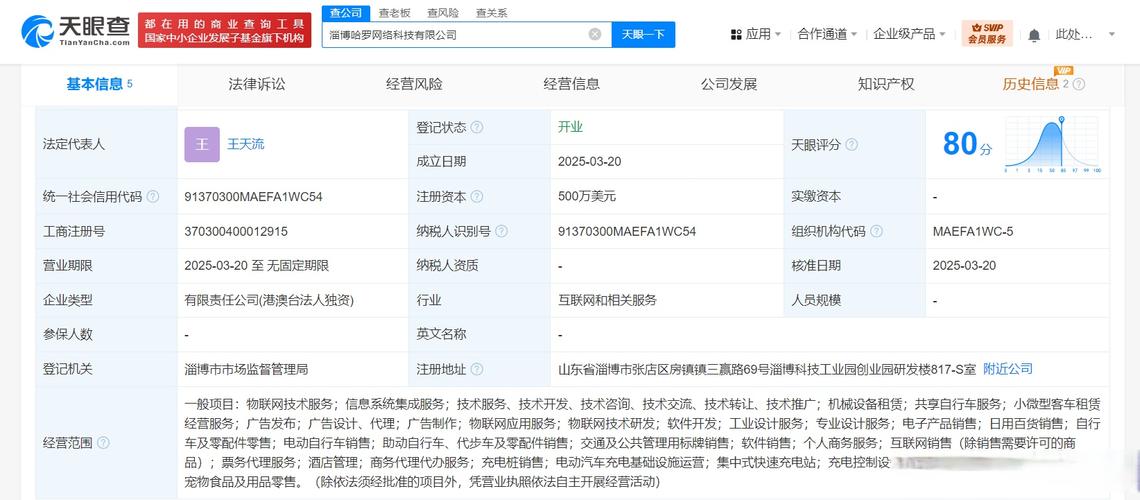 为王天流,注册资本500万美元,经营范围含物联网技术服务